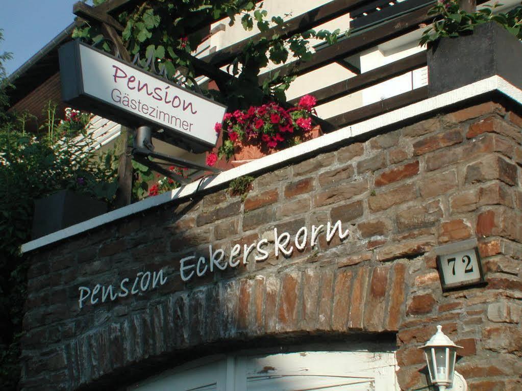 Haus Uebernachtenswert Cochem Mosel Eksteriør billede